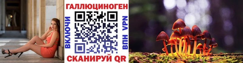 Псилоцибиновые грибы Psilocybe  купить наркотики цена  KRAKEN сайт  Звенигово 
